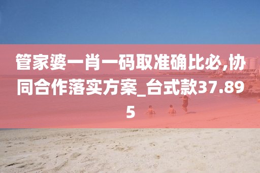 管家婆一肖一碼取準確比必,協(xié)同合作落實方案_臺式款37.895