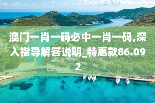 澳門一肖一碼必中一肖一碼,深入指導解答說明_特惠款86.092