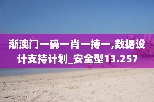 漸澳門一碼一肖一持一,數(shù)據(jù)設計支持計劃_安全型13.257