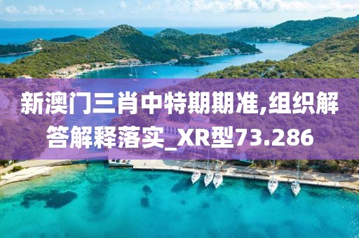 新澳門三肖中特期期準(zhǔn),組織解答解釋落實(shí)_XR型73.286