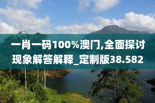 一肖一碼100%澳門,全面探討現(xiàn)象解答解釋_定制版38.582