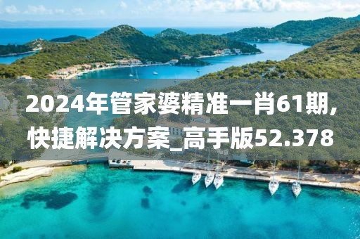 2024年管家婆精準一肖61期,快捷解決方案_高手版52.378