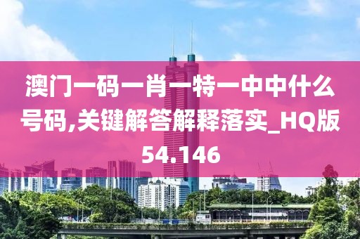 澳門一碼一肖一特一中中什么號(hào)碼,關(guān)鍵解答解釋落實(shí)_HQ版54.146