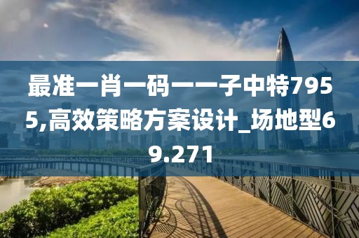 最準(zhǔn)一肖一碼一一子中特7955,高效策略方案設(shè)計(jì)_場(chǎng)地型69.271