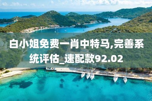 白小姐免費(fèi)一肖中特馬,完善系統(tǒng)評(píng)估_速配款92.02