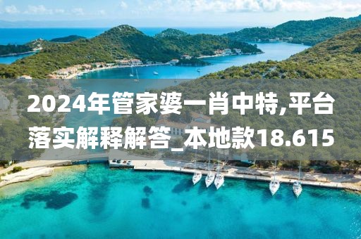 2024年管家婆一肖中特,平臺落實解釋解答_本地款18.615