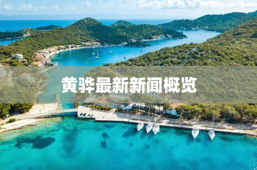 黃驊最新新聞概覽