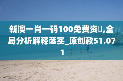 新澳一肖一碼100免費資枓,全局分析解釋落實_原創(chuàng)款51.071