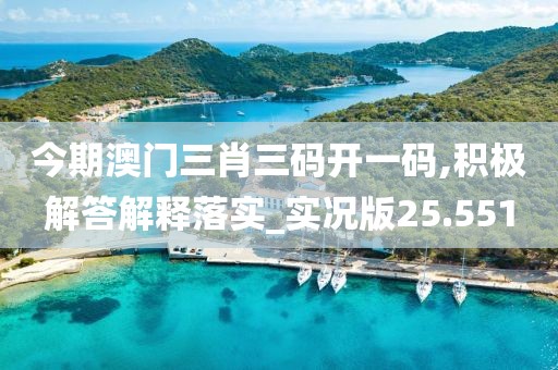 今期澳門三肖三碼開一碼,積極解答解釋落實(shí)_實(shí)況版25.551