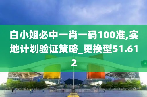 白小姐必中一肖一碼100準,實地計劃驗證策略_更換型51.612