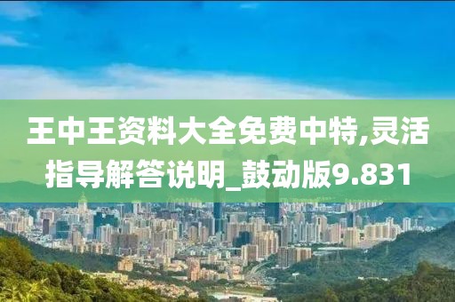 王中王資料大全免費中特,靈活指導解答說明_鼓動版9.831