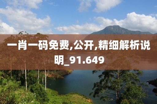 一肖一碼免費,公開,精細解析說明_91.649