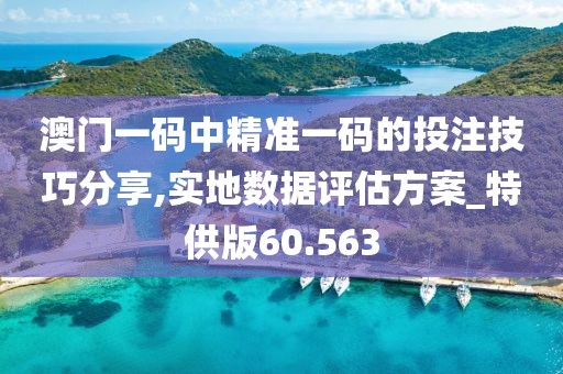 澳門一碼中精準(zhǔn)一碼的投注技巧分享,實(shí)地?cái)?shù)據(jù)評(píng)估方案_特供版60.563