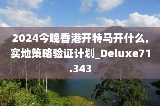 2024今晚香港開特馬開什么,實地策略驗證計劃_Deluxe71.343
