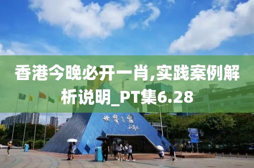 香港今晚必開一肖,實(shí)踐案例解析說明_PT集6.28