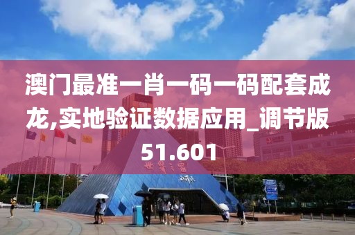 澳門最準(zhǔn)一肖一碼一碼配套成龍,實(shí)地驗(yàn)證數(shù)據(jù)應(yīng)用_調(diào)節(jié)版51.601