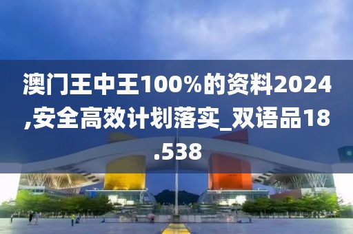 澳門王中王100%的資料2024,安全高效計(jì)劃落實(shí)_雙語品18.538