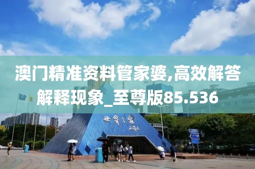 澳門(mén)精準(zhǔn)資料管家婆,高效解答解釋現(xiàn)象_至尊版85.536