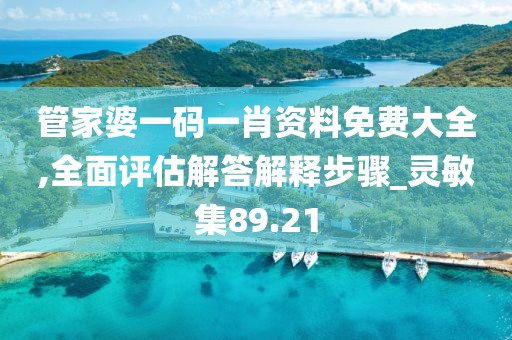 管家婆一碼一肖資料免費大全,全面評估解答解釋步驟_靈敏集89.21