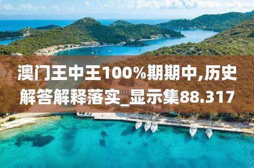 澳門王中王100%期期中,歷史解答解釋落實(shí)_顯示集88.317