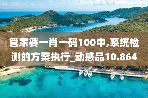 管家婆一肖一碼100中,系統(tǒng)檢測的方案執(zhí)行_動感品10.864