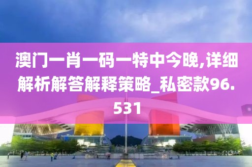澳門一肖一碼一特中今晚,詳細(xì)解析解答解釋策略_私密款96.531