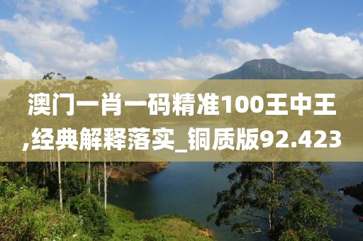 澳門一肖一碼精準100王中王,經(jīng)典解釋落實_銅質(zhì)版92.423