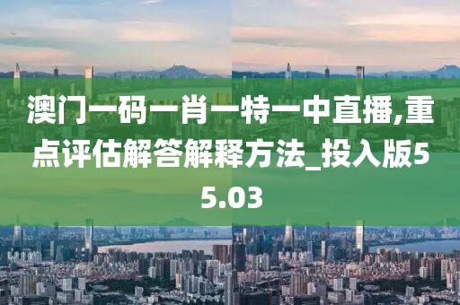 澳門一碼一肖一特一中直播,重點(diǎn)評(píng)估解答解釋方法_投入版55.03
