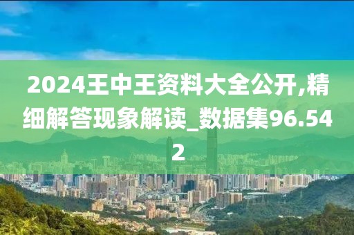 2024王中王資料大全公開,精細(xì)解答現(xiàn)象解讀_數(shù)據(jù)集96.542