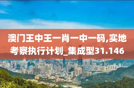 澳門王中王一肖一中一碼,實地考察執(zhí)行計劃_集成型31.146