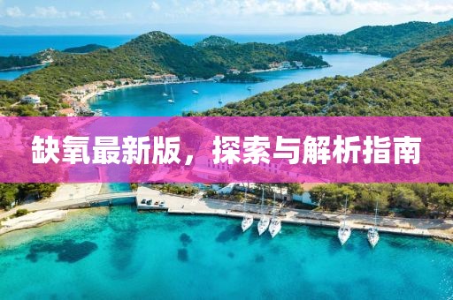缺氧最新版，探索與解析指南