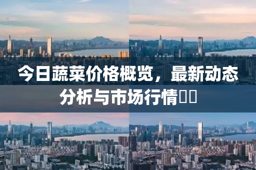 今日蔬菜價格概覽，最新動態(tài)分析與市場行情??