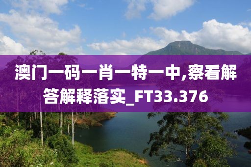 澳門(mén)一碼一肖一特一中,察看解答解釋落實(shí)_FT33.376