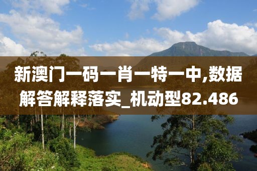 新澳門一碼一肖一特一中,數(shù)據(jù)解答解釋落實_機動型82.486