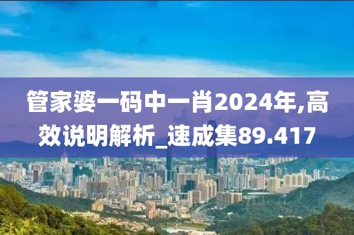 管家婆一碼中一肖2024年,高效說明解析_速成集89.417
