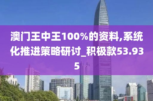 澳門王中王100%的資料,系統(tǒng)化推進(jìn)策略研討_積極款53.935