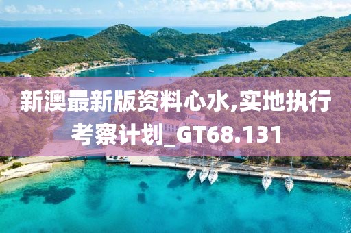 新澳最新版資料心水,實地執(zhí)行考察計劃_GT68.131