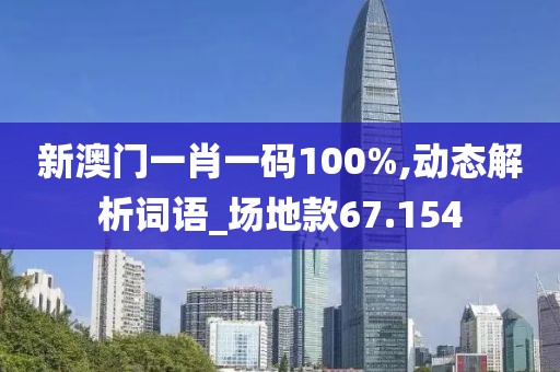 新澳門(mén)一肖一碼100%,動(dòng)態(tài)解析詞語(yǔ)_場(chǎng)地款67.154