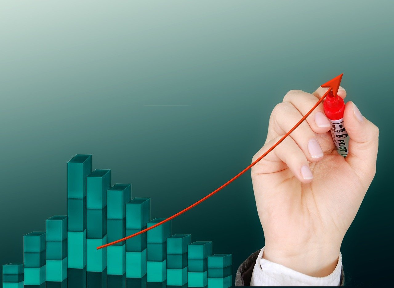 新奧彩資料大全最新版,適用計劃解析_典藏品11.564