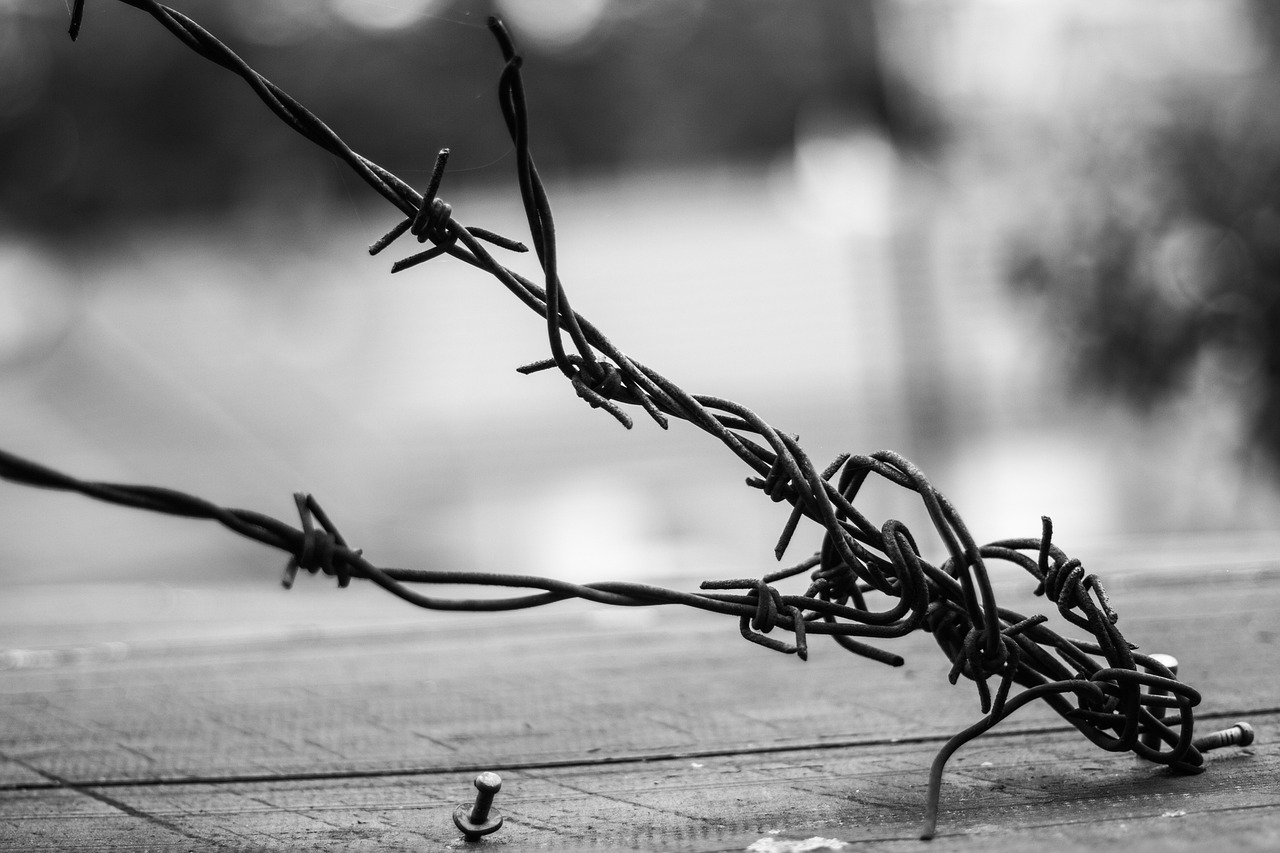 太初最新章節(jié)解析與探討，深度探討細(xì)節(jié)與劇情走向