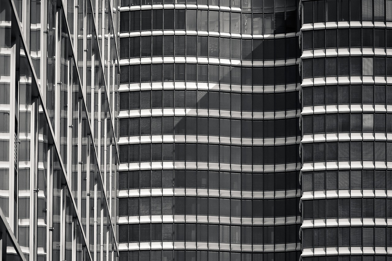 今日棉籽價格走勢分析，最新報價與未來展望