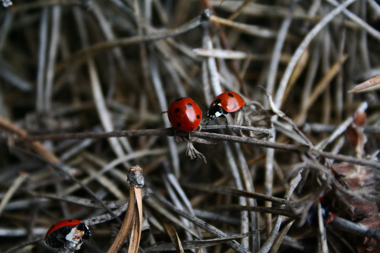 鄒城貼吧最新動(dòng)態(tài)，城市生活點(diǎn)滴與熱門消息