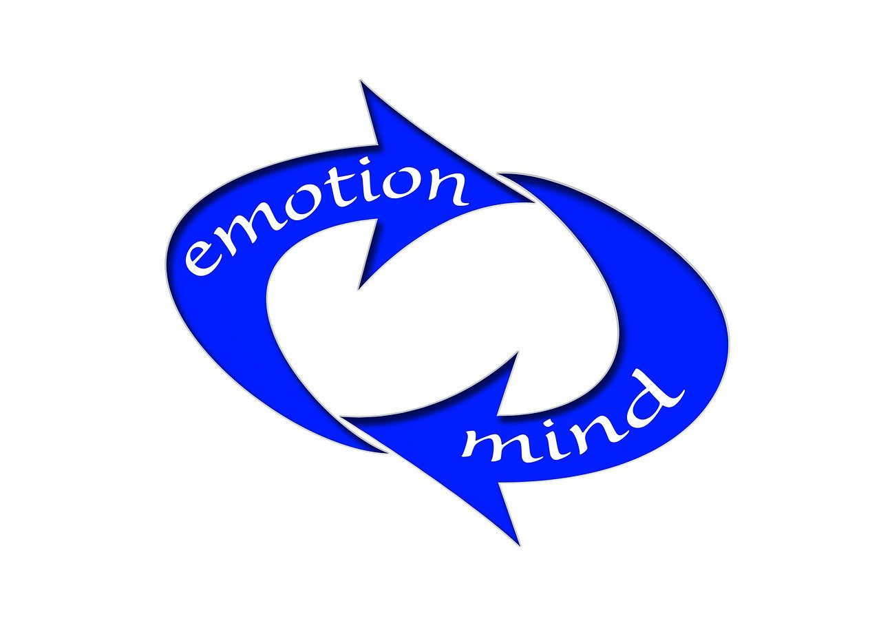 司爾特最新動(dòng)態(tài)，全面解讀企業(yè)進(jìn)展、技術(shù)創(chuàng)新與市場(chǎng)動(dòng)態(tài)