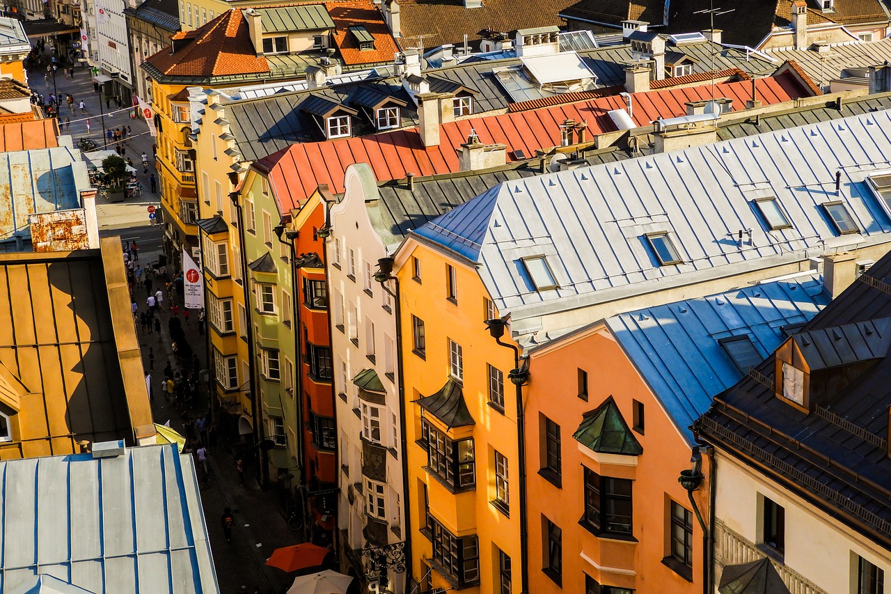 新澳天天彩免費資料2024老,高效組織解釋落實_投入集81.772