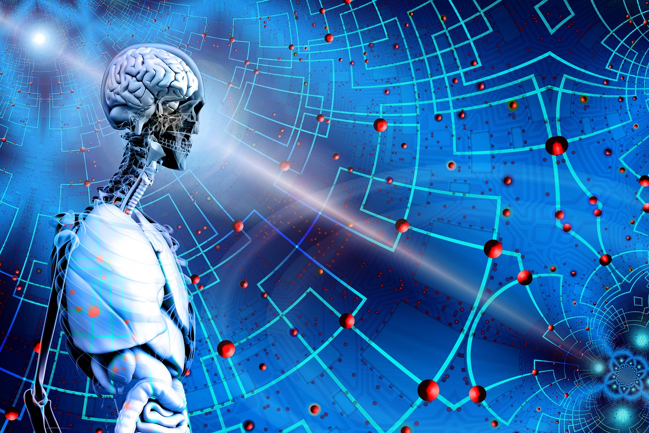 澳門資料大全免費資料,數(shù)據(jù)研究解答解釋路徑_恢復版65.151