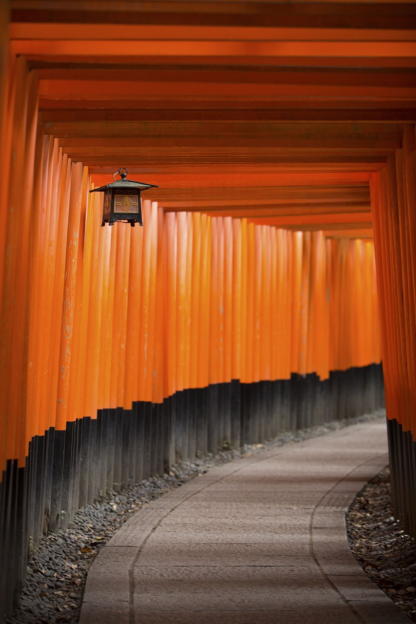 南京湯山最新新聞綜述，發(fā)展動(dòng)態(tài)與報(bào)道匯總