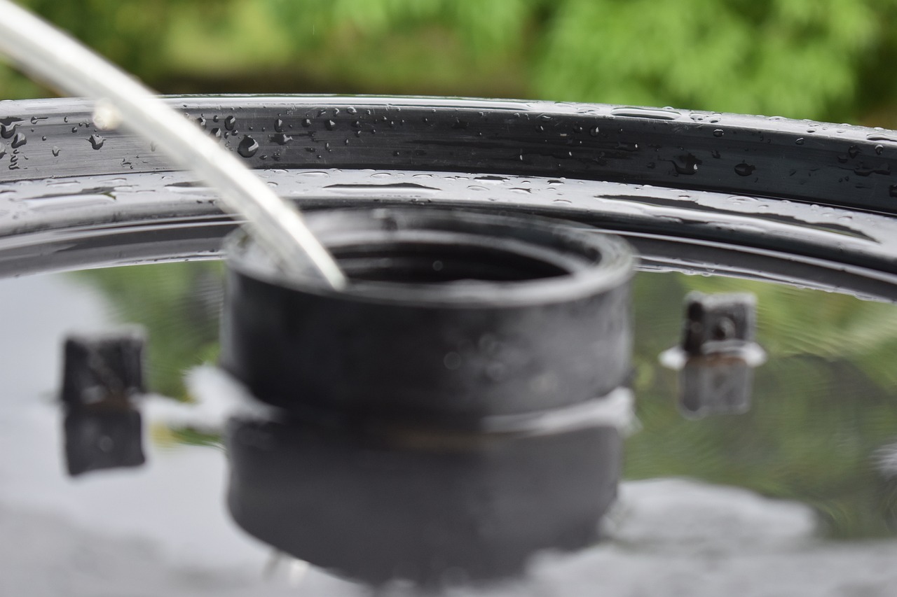 悟睿慈 第2頁(yè)