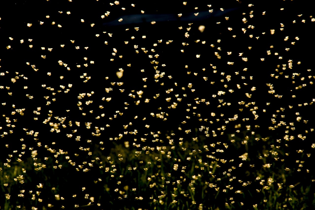 大神云電腦最新版，技術(shù)革新引領(lǐng)未來展望