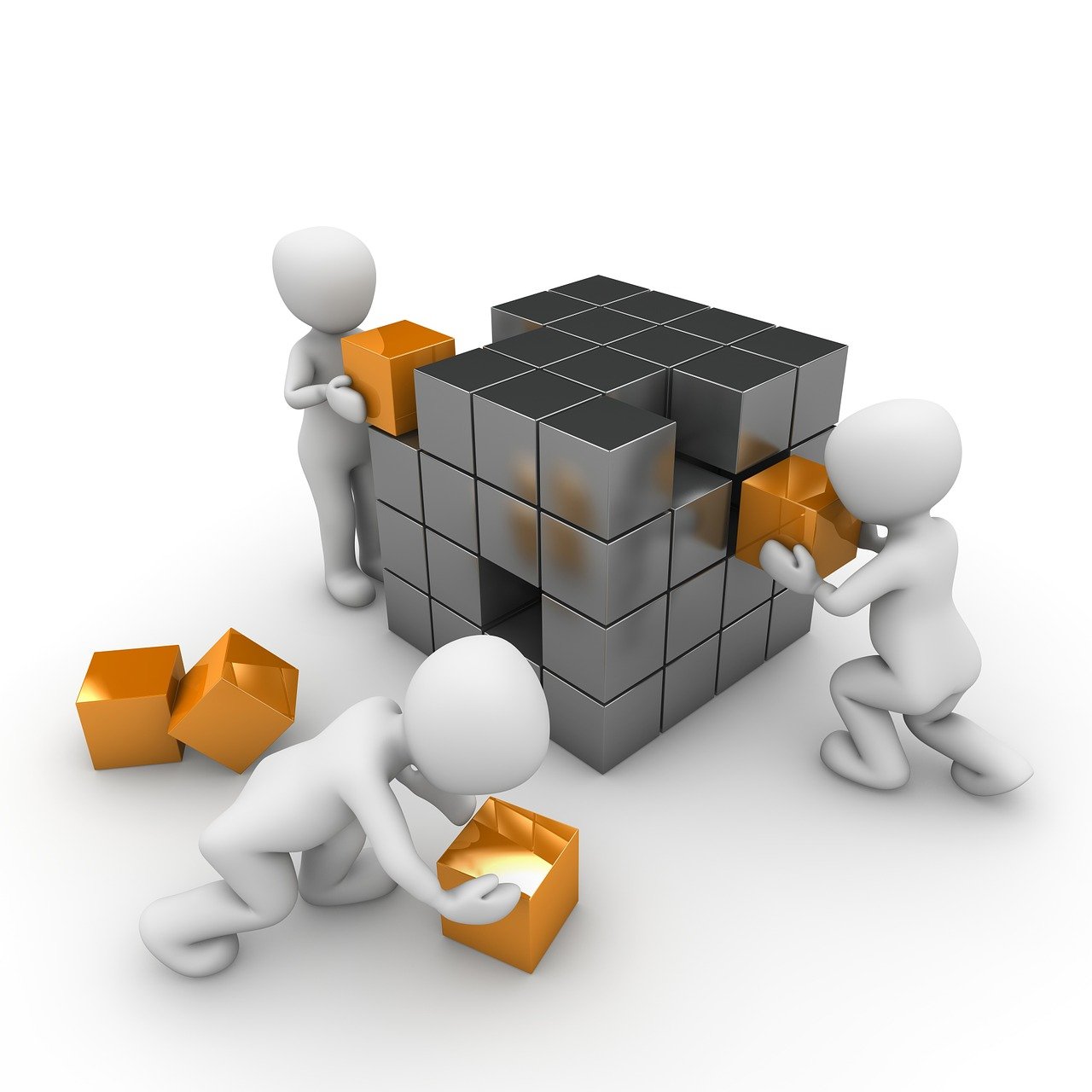 禾嘉股份最新動(dòng)態(tài)全面解讀