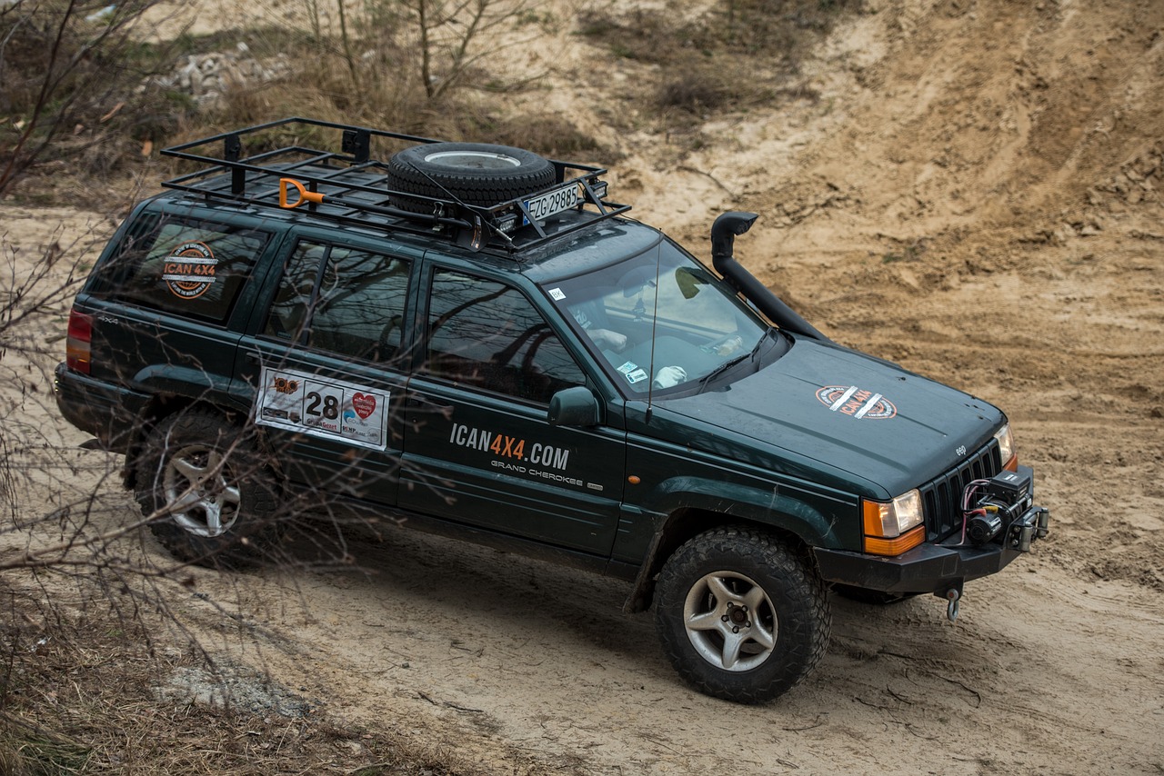 武林風(fēng)洪光最新比賽動態(tài)揭秘